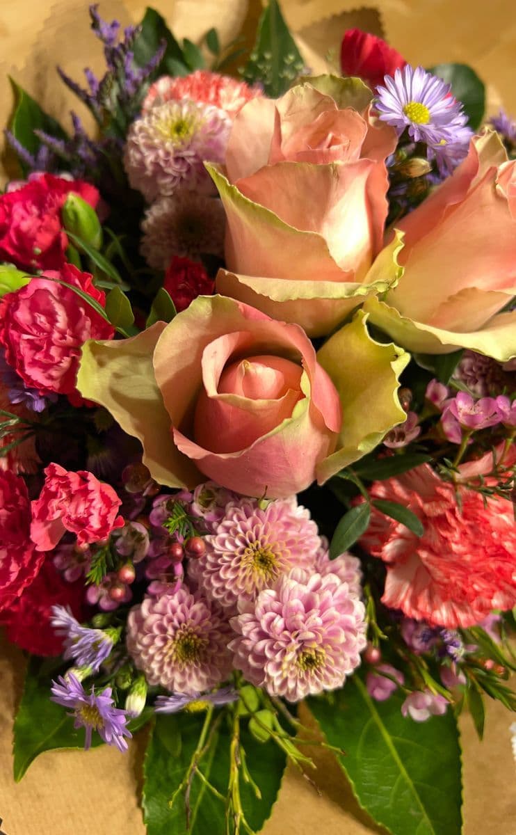 Unsere Floristik in Bildern — 7