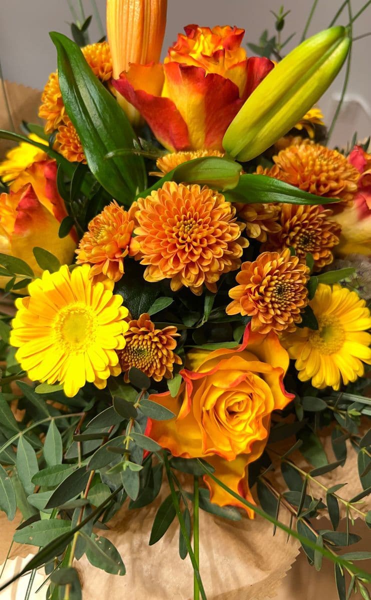Unsere Floristik in Bildern — 10