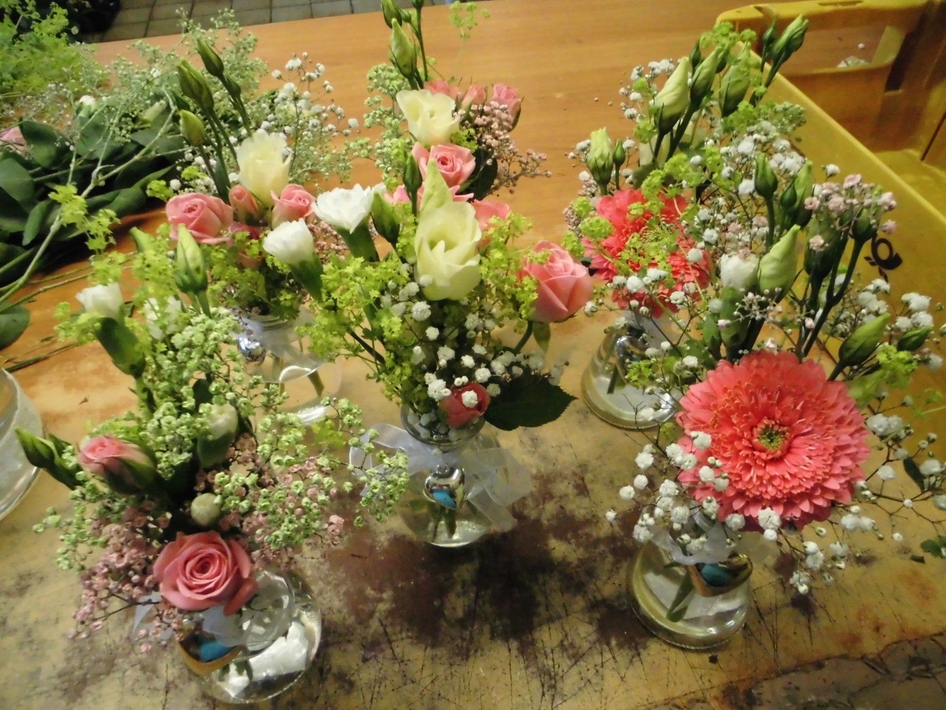 Unsere Floristik in Bildern — 24