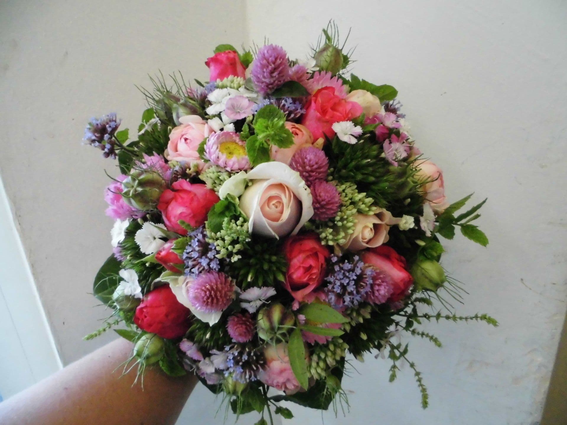 Unsere Floristik in Bildern — 4