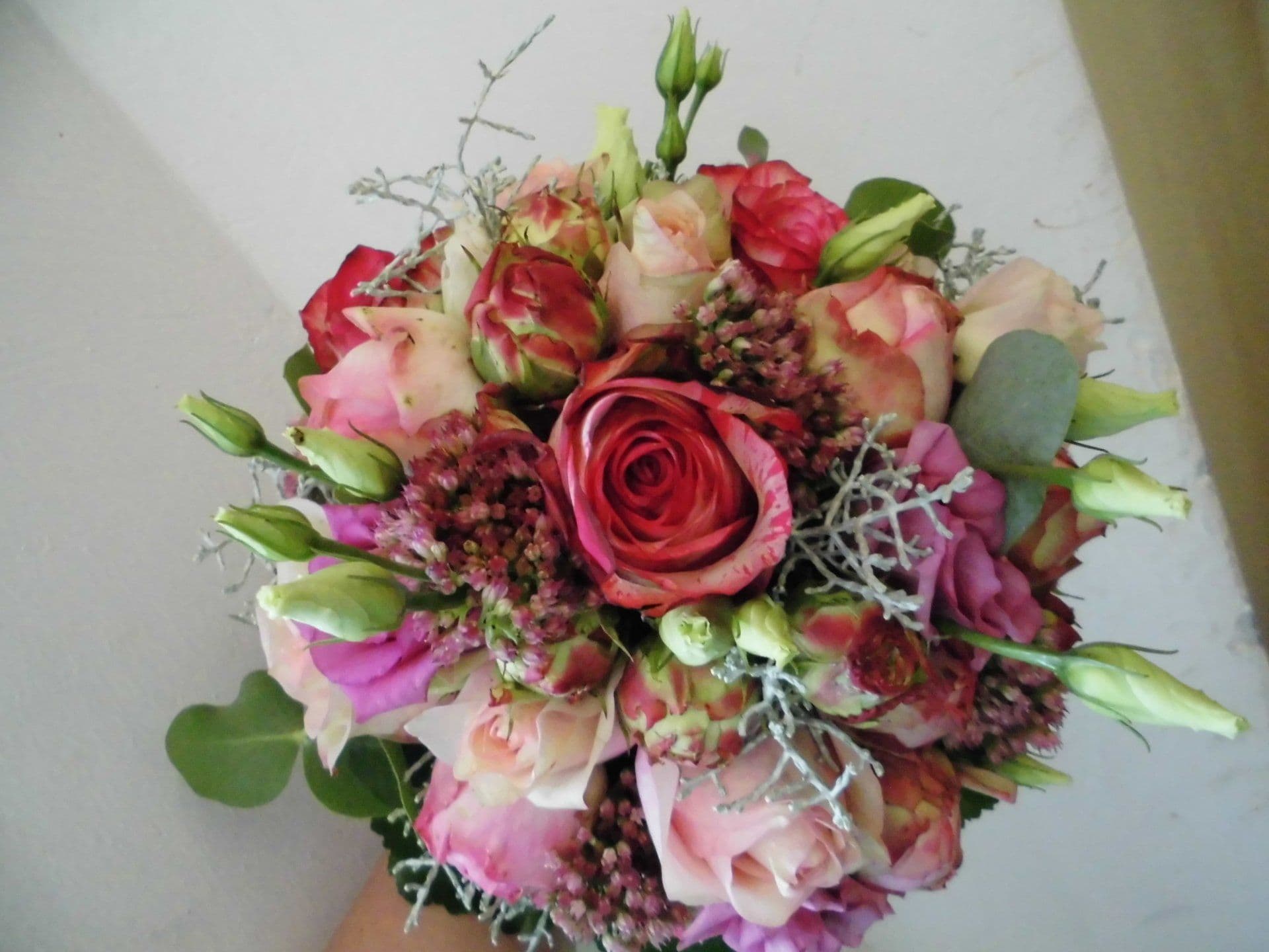 Unsere Floristik in Bildern — 5