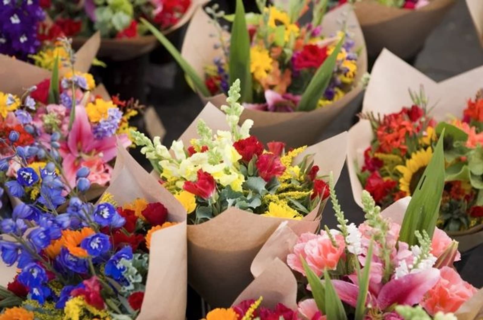 Florist Choice - Floristen Auswahl