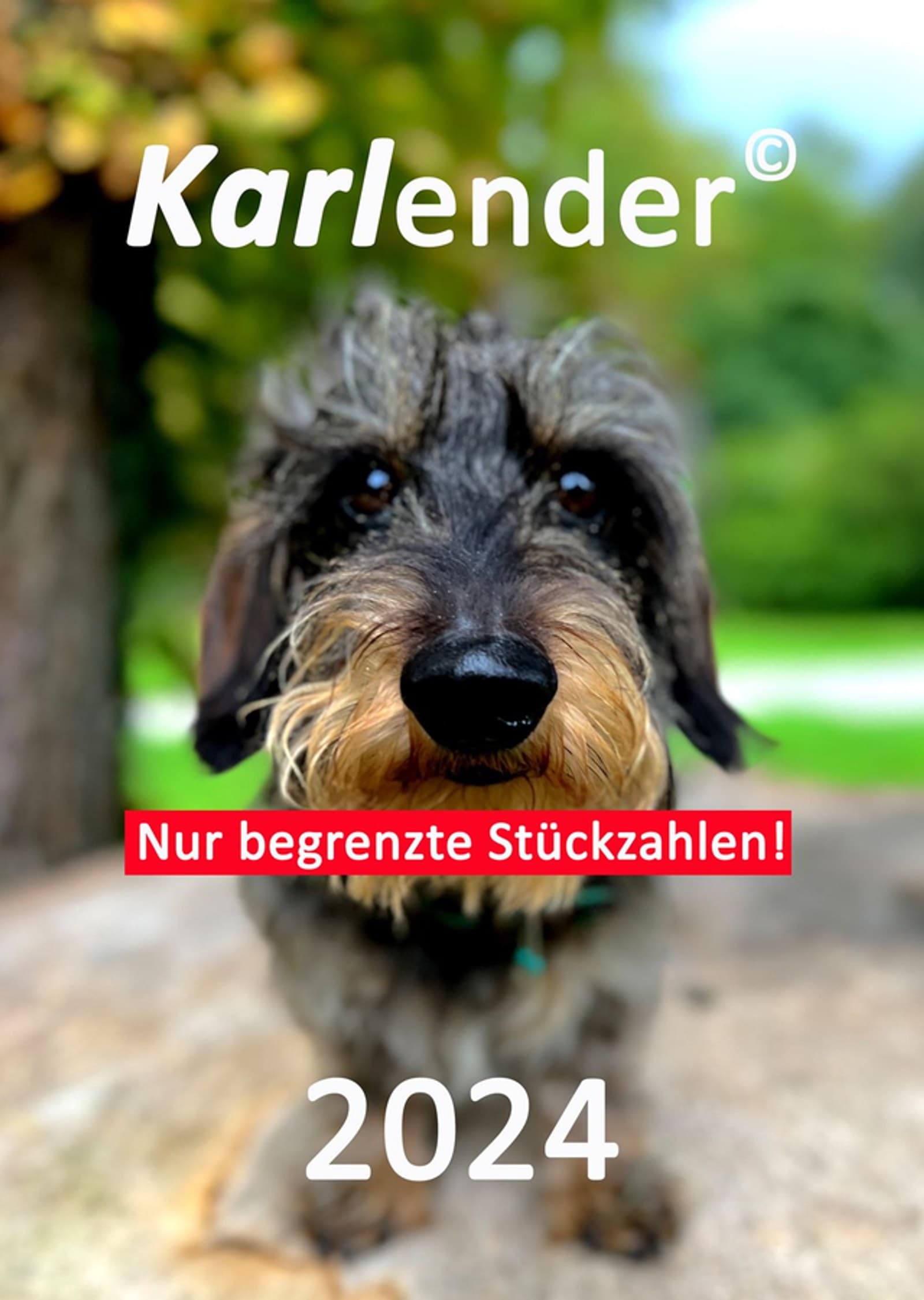 KARLender© 2024 - beinhaltet 10€  Spende - s.Beschreibung
