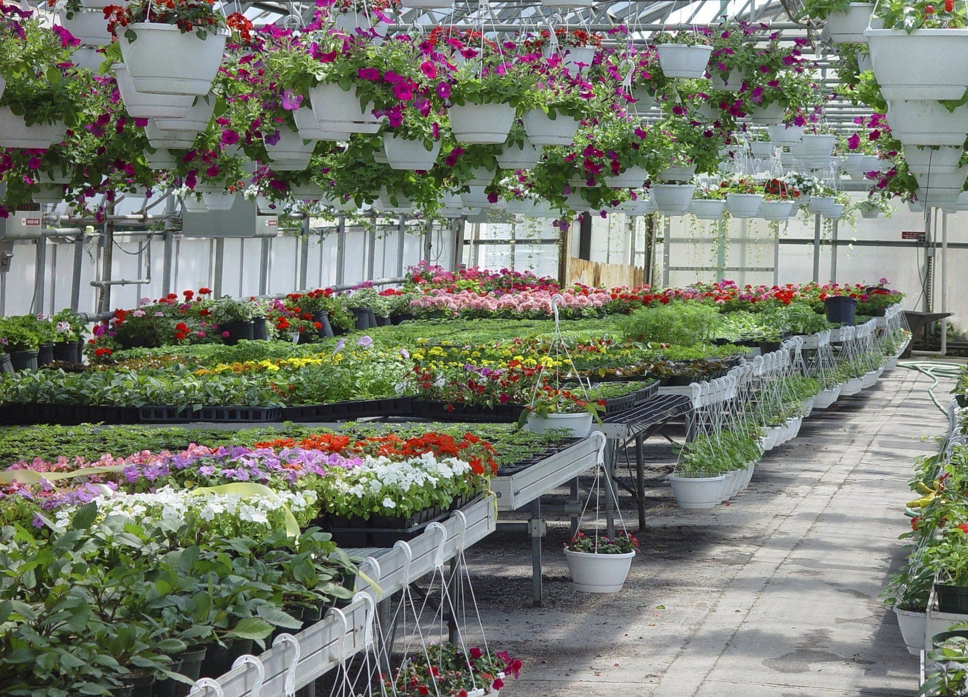 Garten- und Landschaftsbau-Bepflanzung