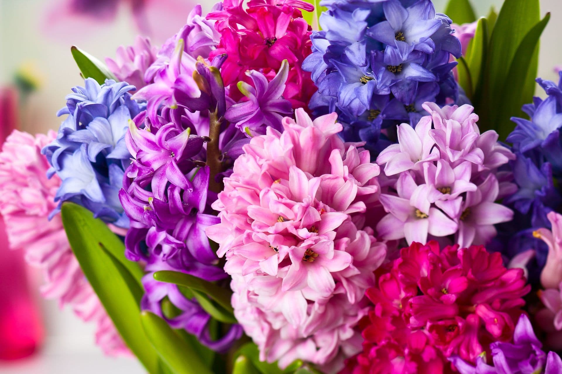 Bunter Geburtstagsblumenstrauß