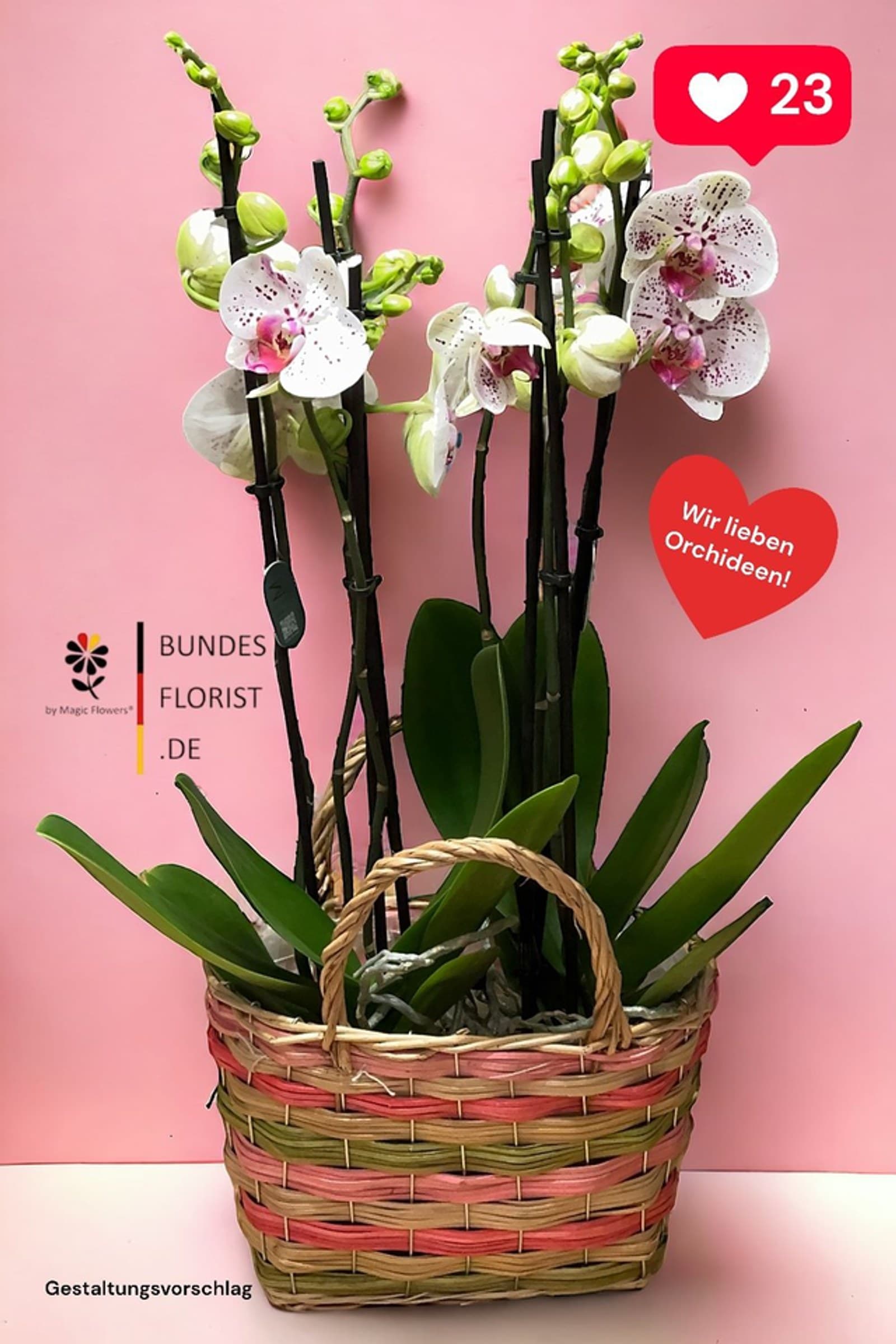Orchideen-Arrangement im Korb